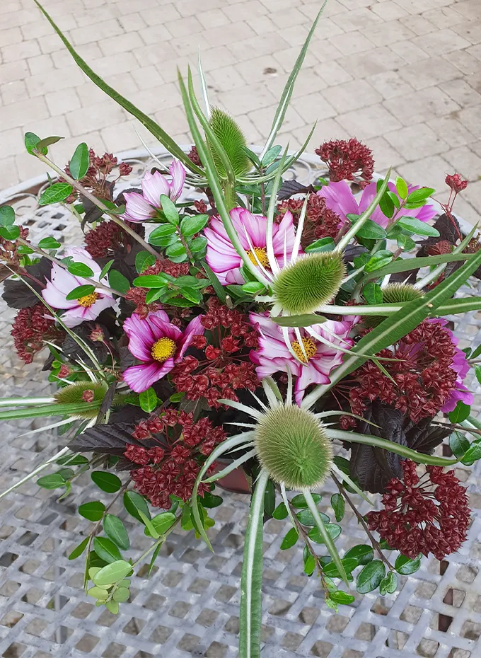 Jungpflanzenmarkt zum Muttertag-Wochenende am 10. und 11. Mai