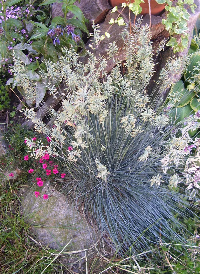 Weihnachtsmarkt am 23. und 24. November